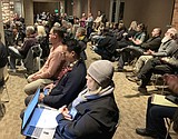 Council accepts 'Rescue' funds