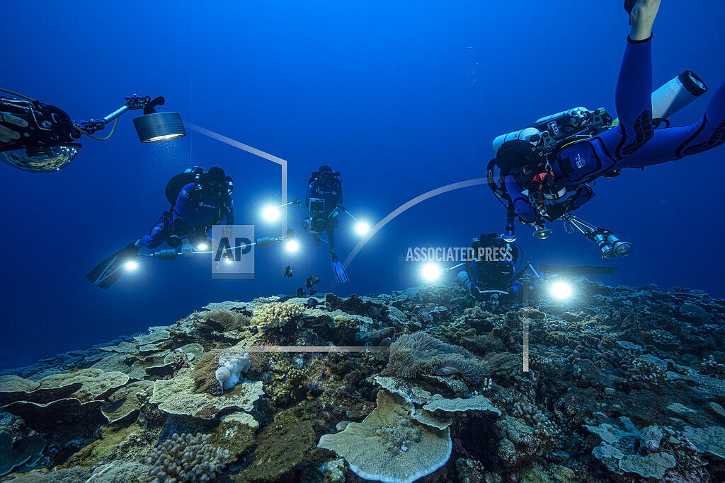 In this photo provided by @alexis.rosenfeld, researchers for the French National Centre for Scientific Research study corals in the waters off the coast of Tahiti of the French Polynesia in December 2021. Deep in the South Pacific, scientists have explored a rare stretch of pristine corals shaped like roses off the coast of Tahiti. The reef is thought to be one of the largest found at such depths and seems untouched by climate change or human activities. (Alexis Rosenfeld/@alexis.rosenfeld via AP)