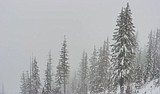 Our Gem: Snowpack and water supply outlook for 2022