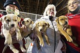 'Wings' delivers dogs facing death to KHS