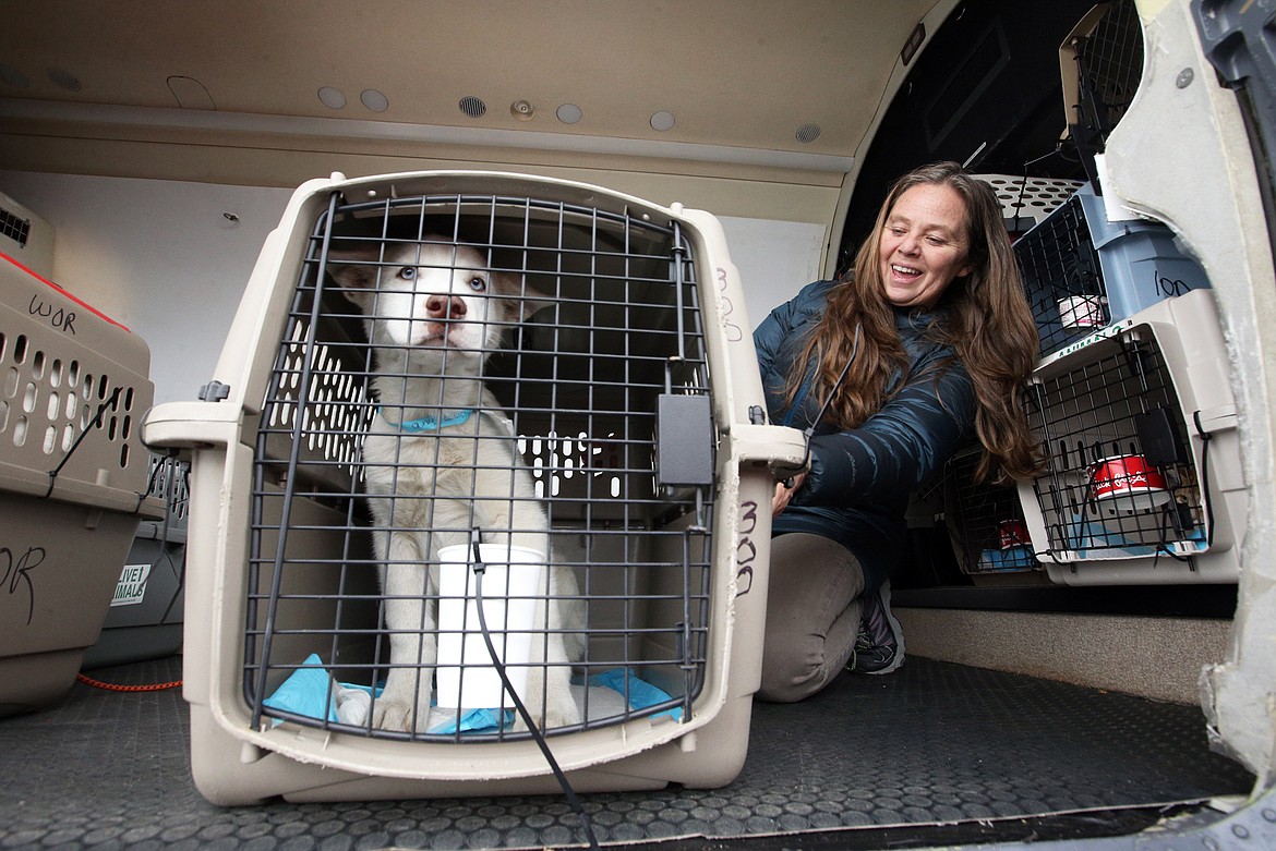 Wings of Rescue co-pilot Angela Keeling sits in the cargo area of the plane with some of the dogs it delivered to the Kootenai Humane Society on Wednesday.