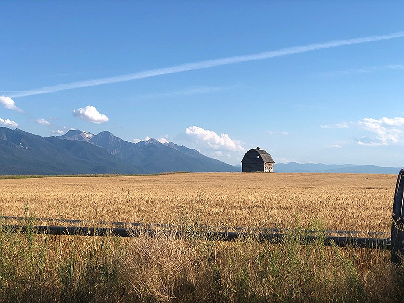 UM is partnering in a new program that will provide science-based climate information and services to Native American ranchers and farmers in the Mission Valley and throughout the Intermountain West. (Maureen McCarthy)