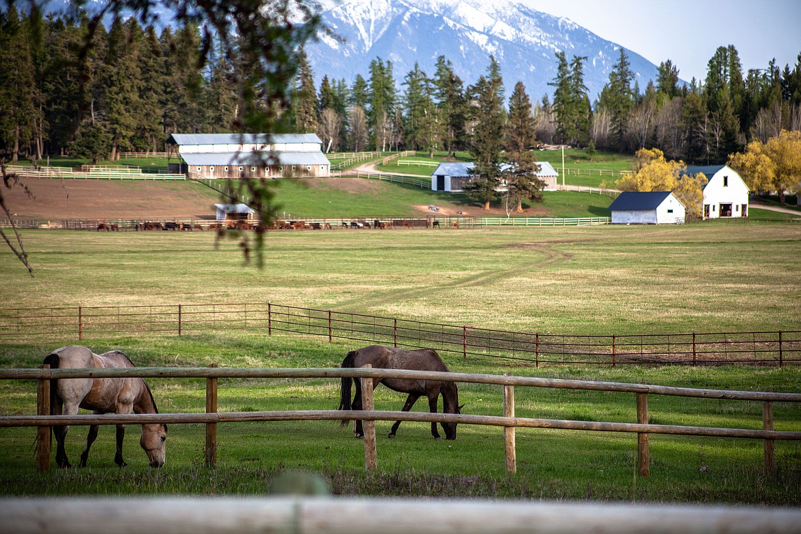 Big Mountain Ranch in Whitefish will host the Under The Big Sky Rodeo, Round-up and Music Festival July 15 to 17.