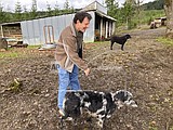 Ruined lives prompted Kristof's run for Oregon governor