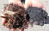 New WSU report charts path for biochar production
