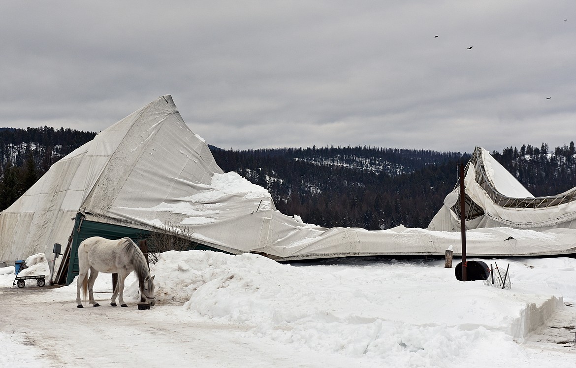 A large horse arena collapsed on Jan. 22 at the Stillwater Horse Whispers Ranch in Whitefish. (Julie Engler photo)