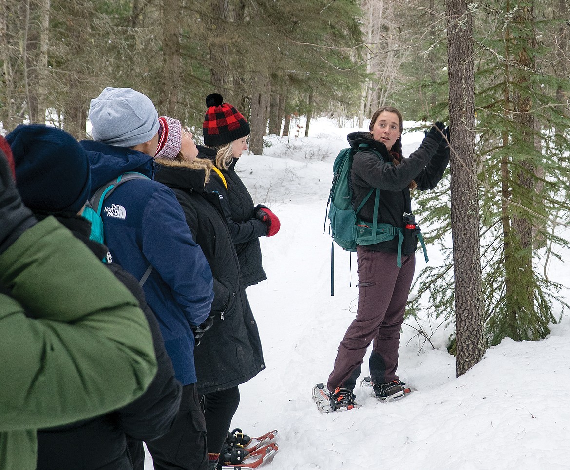 Glacier Institute steps in to offer snowshoe tours; moonlight tour