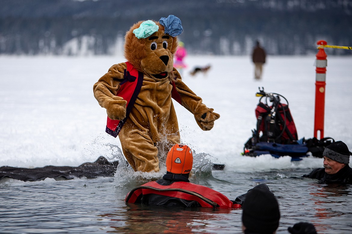 The Lions Club mascot jumps in at the Penguin Plunge in Whitefish on Saturday. (JP Edge photo)