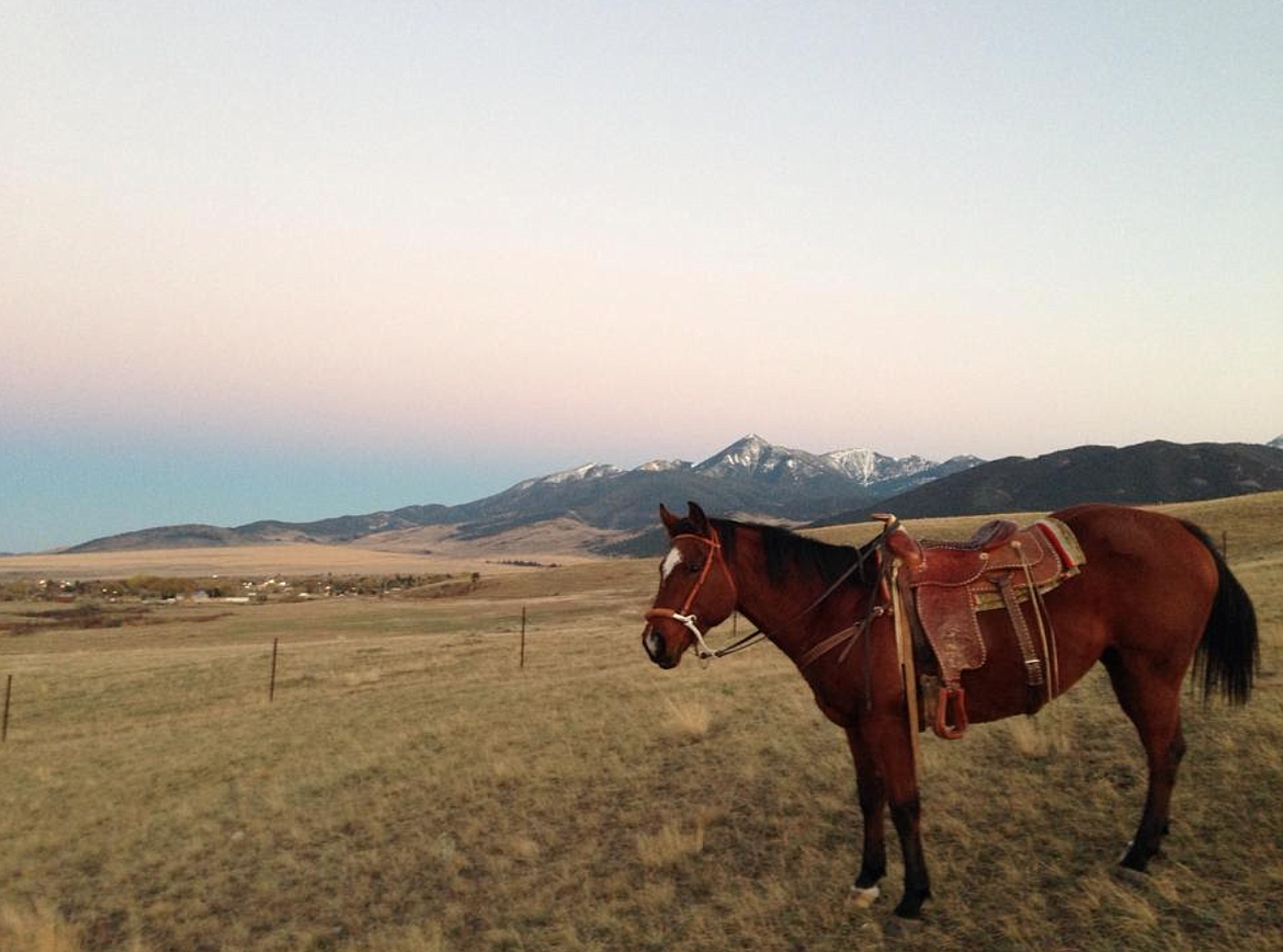 This photo shows the Colorado full double saddle San McCue received as a gift from his grandfather. Photo courtesy of Sam McCue