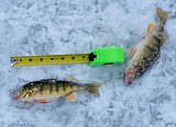 Ice fishing could end soon