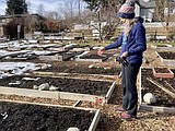 Community garden could use a little green