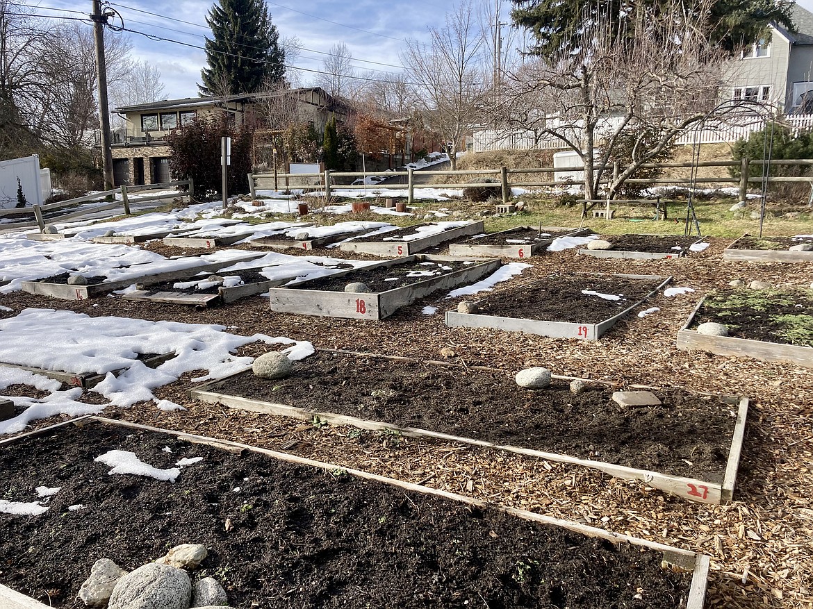 Shared Harvest Community Garden in Coeur d'Alene is in need of repairs to their garden plots, as well as funds to build a new shed. HANNAH NEFF/Press