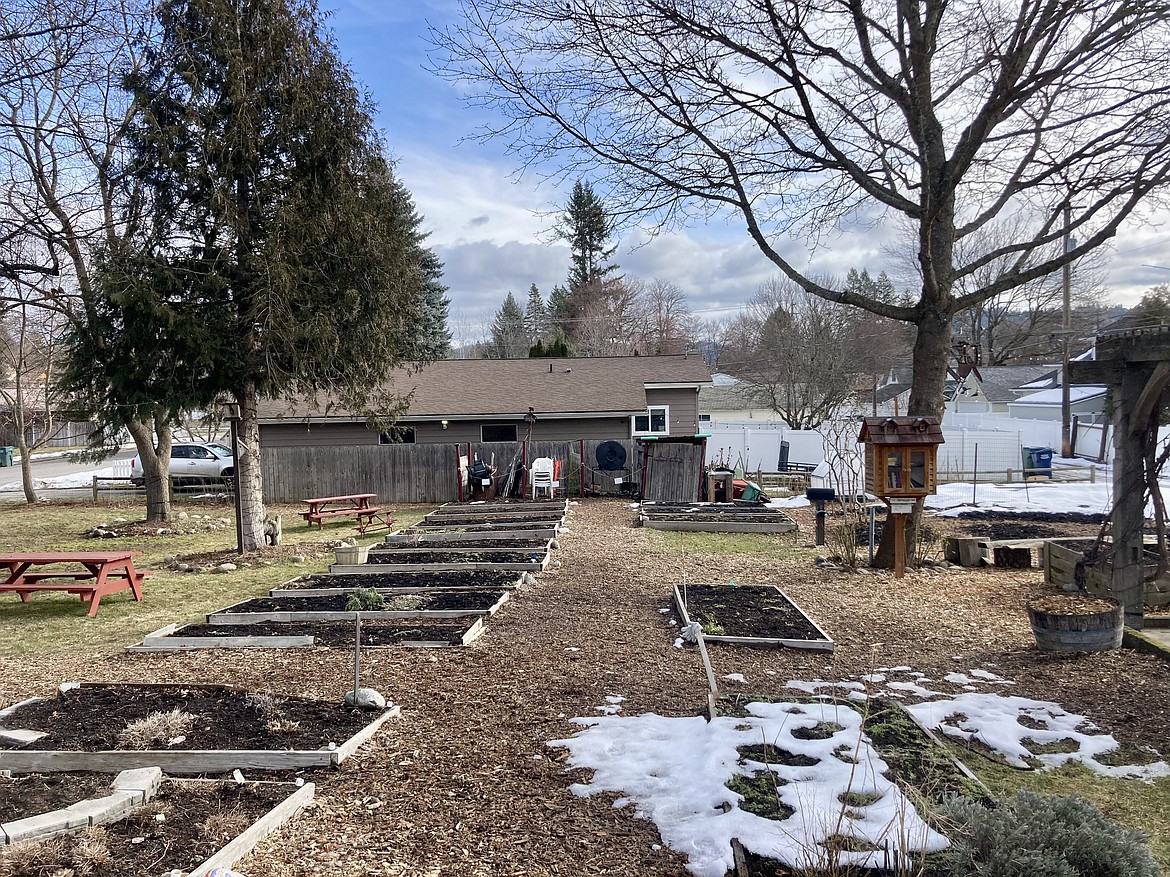 Shared Harvest Community Garden was founded in 2008 by Kim Normand, on property owned by Marshall and Dolly Mend on 10th Street and Foster Avenue in Coeur d’Alene. HANNAH NEFF/Press