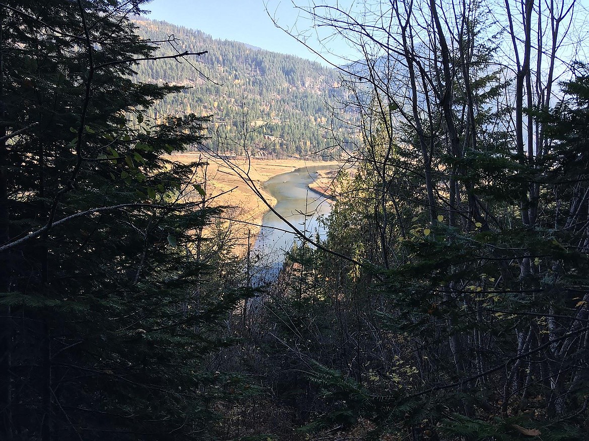 Located on the west shore of the Pack River Delta, the Moose Mountain area sits with a wildlife travel corridor. The roughly 75 acre site was given to the Kalispel Tribe by The Idaho Club, returning it to its original caretakers.