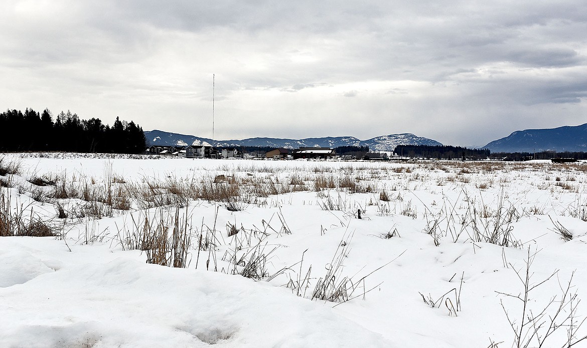 The City of Whitefish is starting the process to adjust boundary lines and rezone this plot of land off Monegan Road, owned by the city, to potentially be available for an affordable housing development in the near future. (Whitney England/Whitefish Pilot)