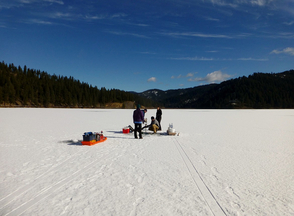 Dr. Frank Wilhelm and University of Idaho students collect water quality data from beneath the ice.