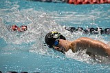 MLHS and QHS participate at state swim meet, bring home one championship