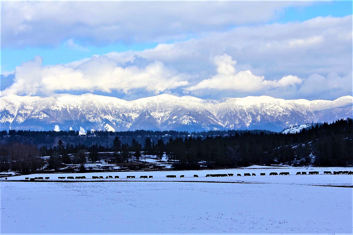 Cow Creek Road facing the Percell Mountains.