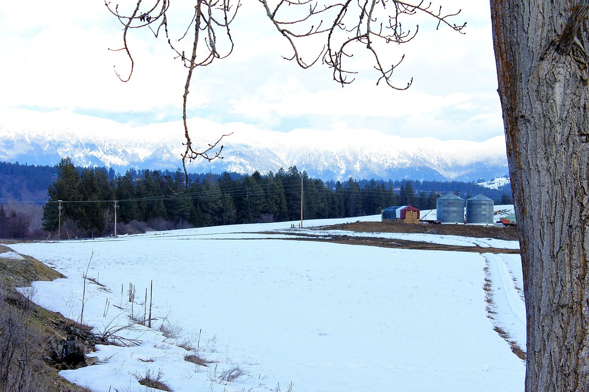 Cow Creek looking toward Percell Mountains.