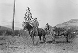 The insane patrols of Henry Thol