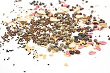 Free the Seeds event coming up in March