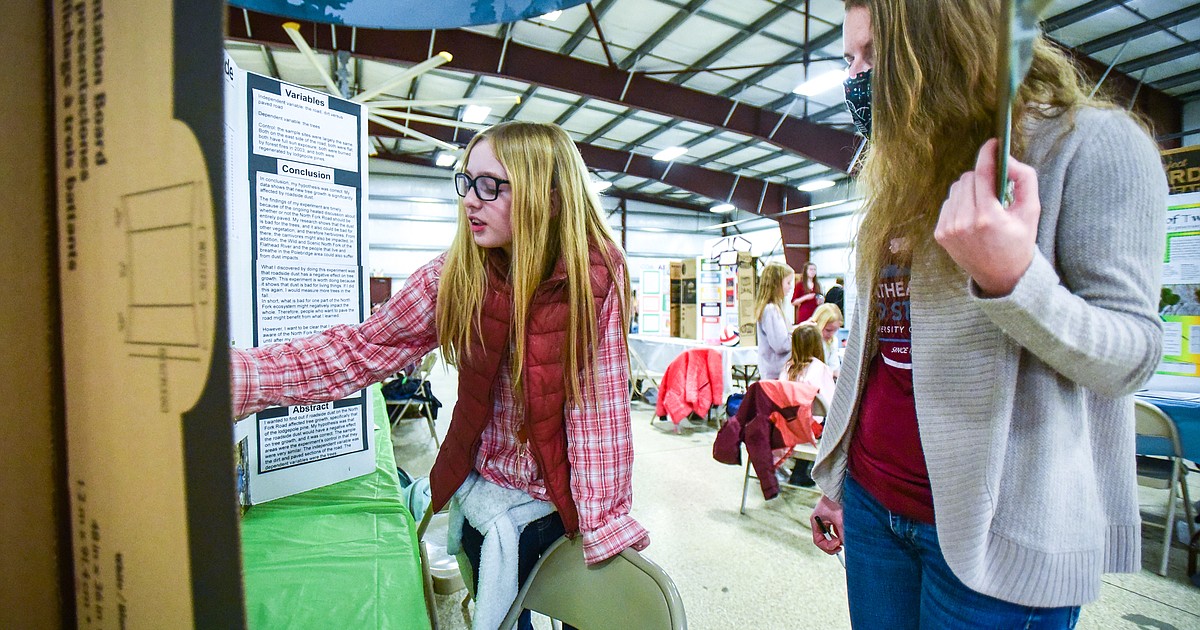 Student Scientists Shine at Elgin School Science Fair - Patagonia