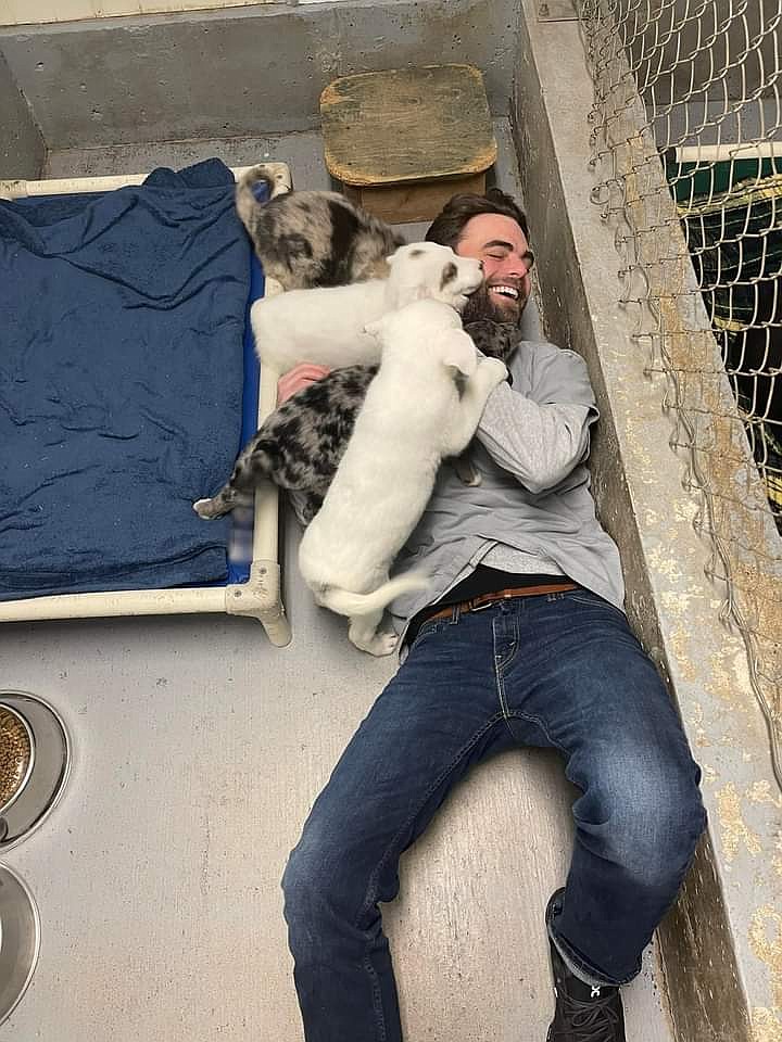 Volunteer Todd Sines lets puppies at Kootenai Pets for Life lick whipped cream off his face during the organization's Facebook Live event Feb 21. (Photo courtesy Jordan's Way)