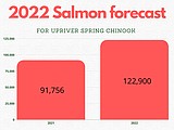 Columbia River spring Chinook salmon fishing season looking up