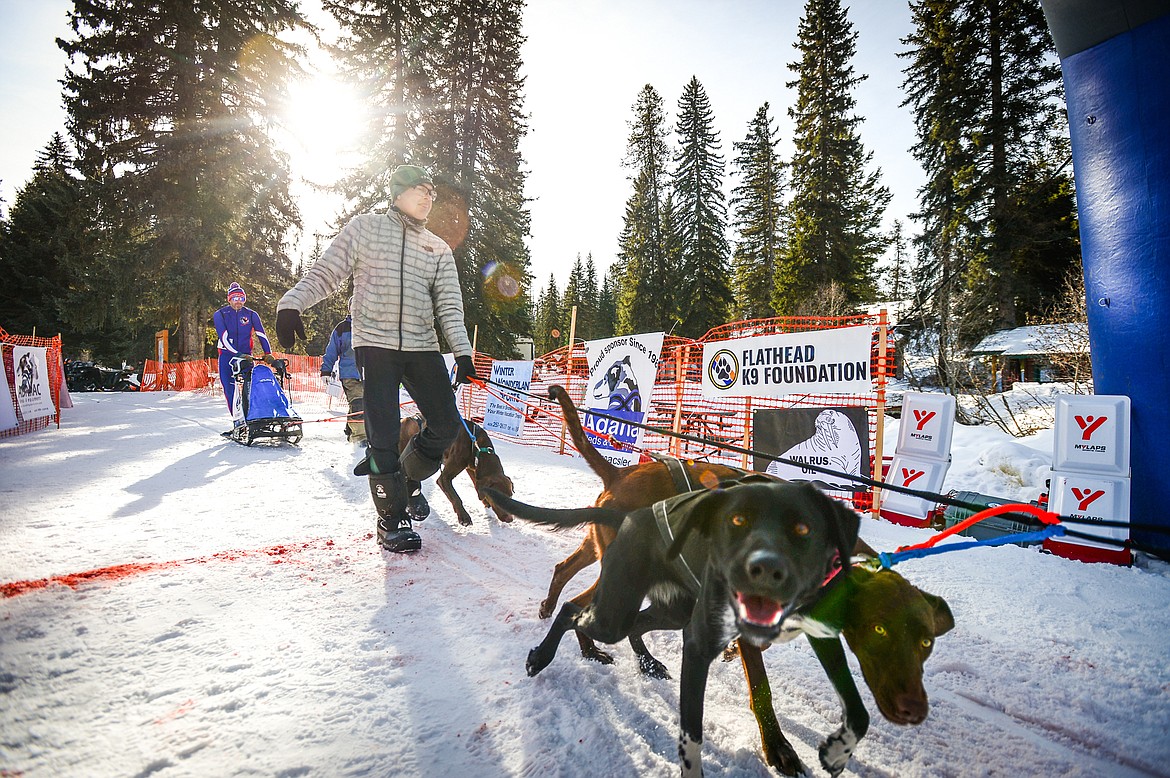 Musher Dan Hanks' four-dog team eagerly awaits the start of their race at the Flathead Classic Sled Dog Race at Dog Creek Lodge & Nordic Center in Olney on Saturday, Feb. 26. (Casey Kreider/Daily Inter Lake)