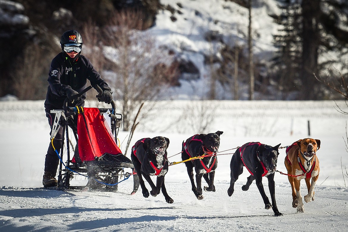 A musher leads her four-dog team out onto the course during the Flathead Classic Sled Dog Race at Dog Creek Lodge & Nordic Center in Olney on Saturday, Feb. 26. (Casey Kreider/Daily Inter Lake)