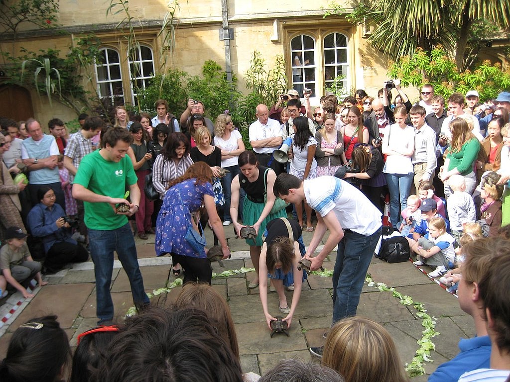 Trinity and Balliol colleges at Oxford hold an annual tortoise race competition where tortoises are placed in a ring of lettuce, with the first to reach the lettuce winning.