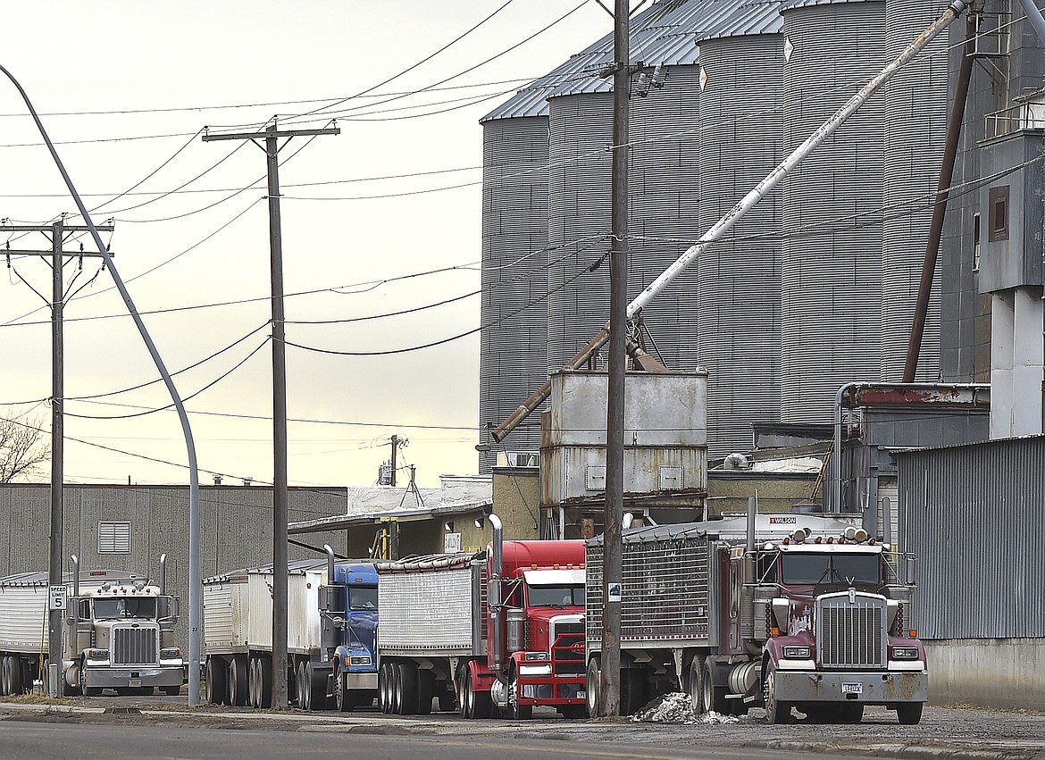 Trucks line up to unload wheat at the Gavilon grain elevators, in Billings Mont. Wednesday, March 2, 2022. Prices for wheat in Montana are at their highest since 2008, but while sales that year were valued at $1 billion or more the latest robust prices might not produce the same outcome. (Larry Mayer/The Billings Gazette via AP)