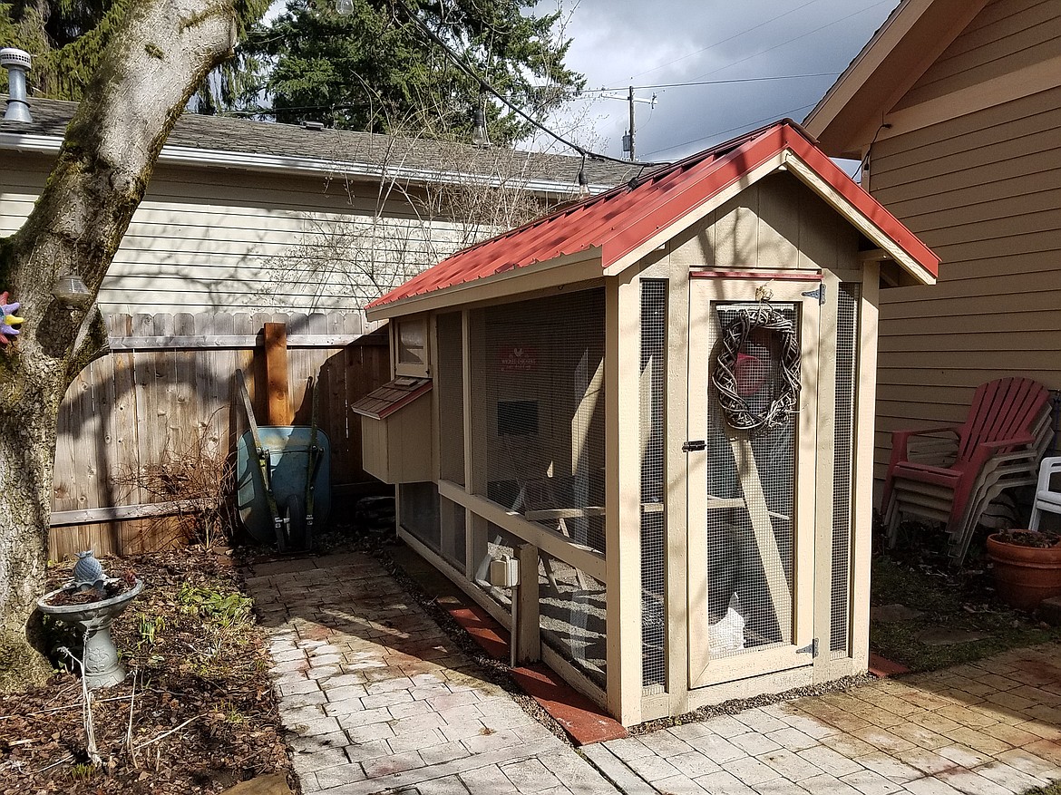 Chickens are easy to keep but require a sturdy coop that will keep urban wildlife out and your hens safe.