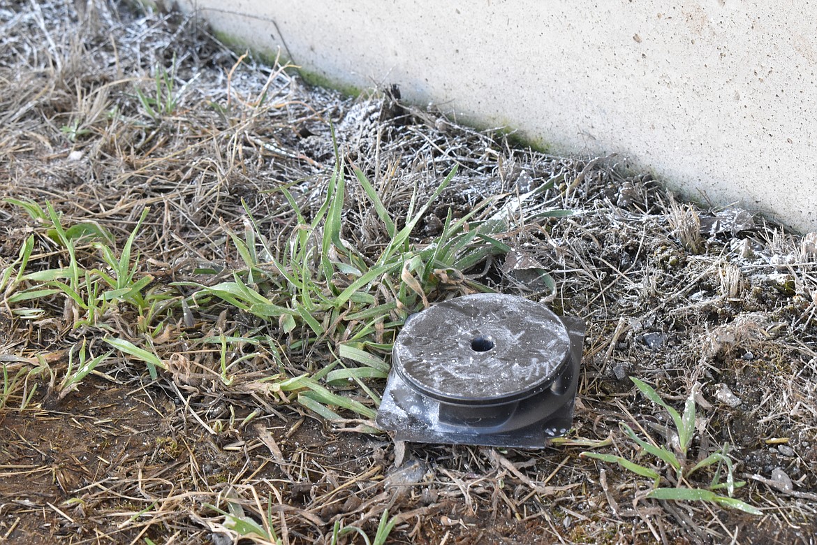 Kevin Hake of Columbia Basin Spray Service recommends traps, such as this black one, before moving to sprays to avoid unnecessary chemicals.