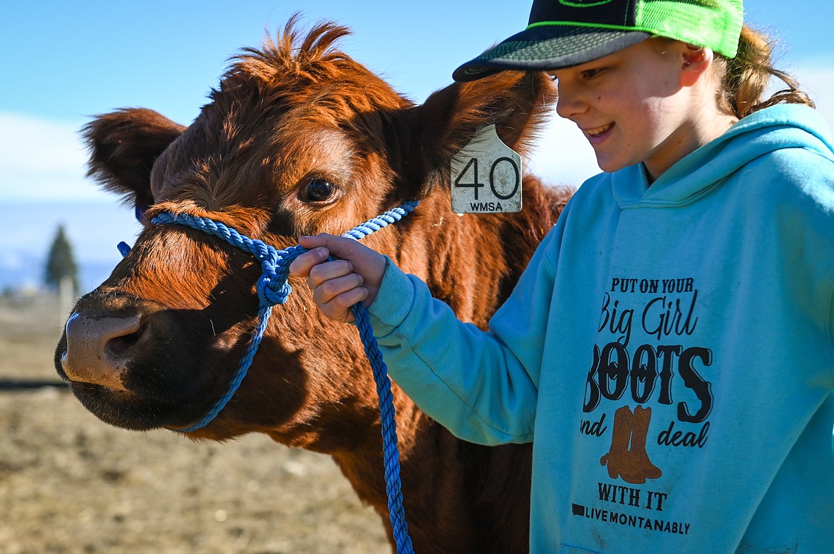 Cabella McIntyre leads one of the family's heifers named Loretta across the farm in West Valley on Wednesday, March 23. (Casey Kreider/Daily Inter Lake)