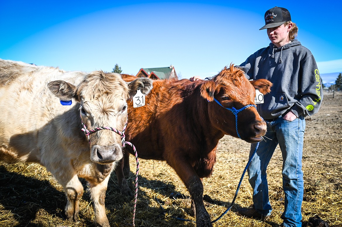 Tracen McIntyre with heifers Wynonna and Loretta on the family farm in West Valley on Wednesday, March 23. (Casey Kreider/Daily Inter Lake)