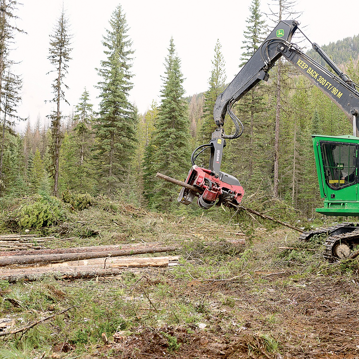 West Reservoir timber project OK’d | Hagadone News Network