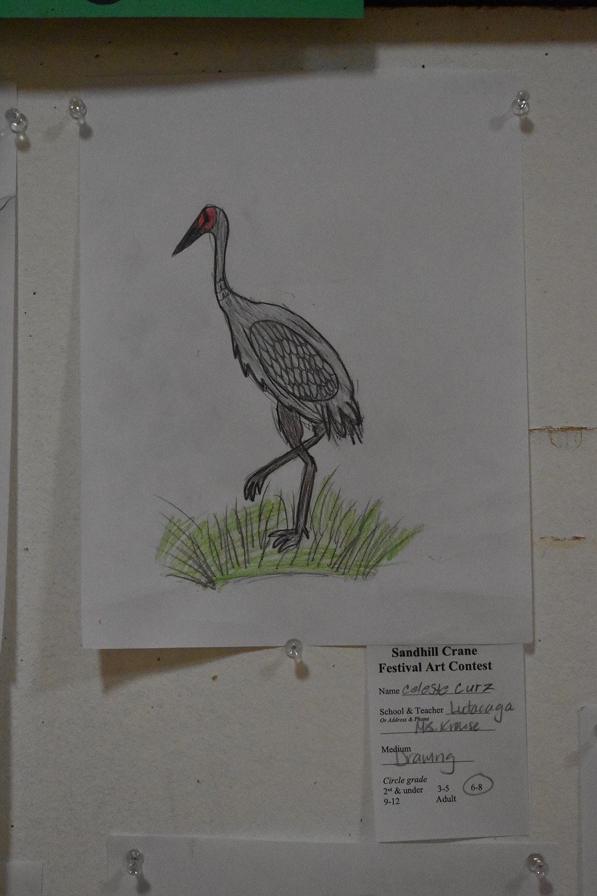 The art displayed at McFarland Middle School in Othello for the art contest saw different renditions of cranes by different age groups involved.