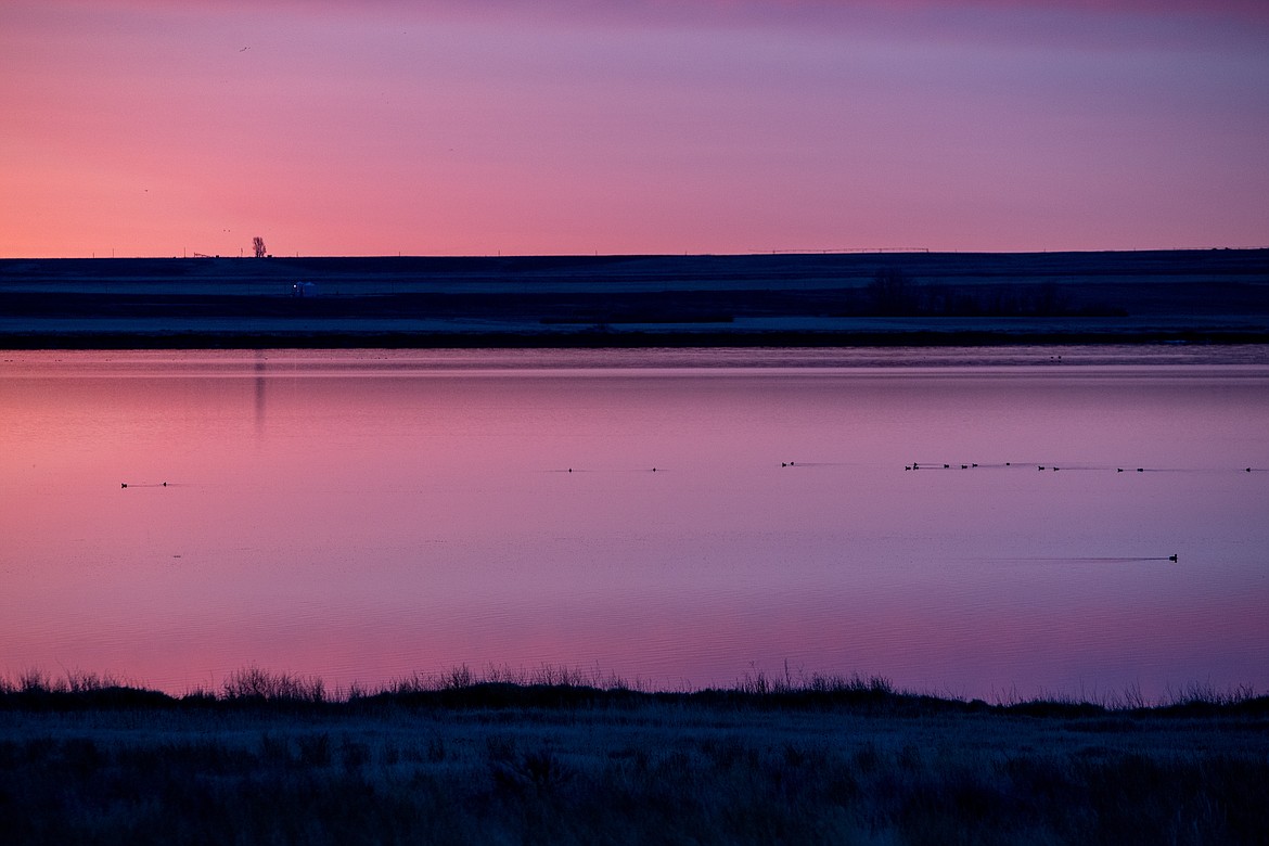 Birds move across Freezout Lake at sunrise. (JP Edge/Hungry Horse News)