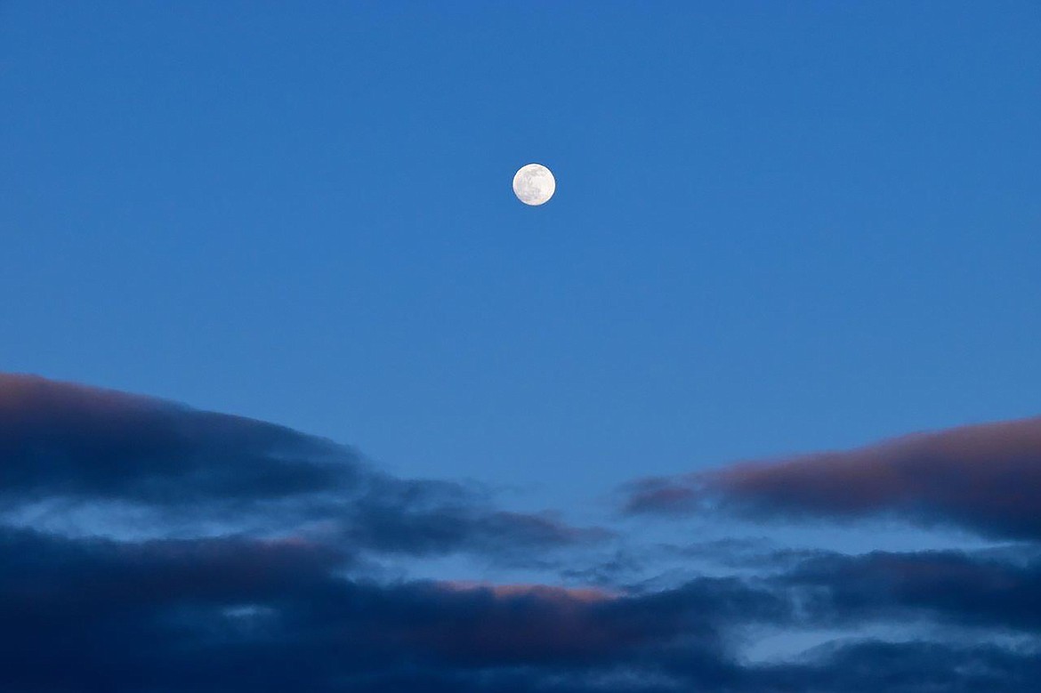 Local photographer Robert Kalberg captured this photo at home in the Paradise Valley.