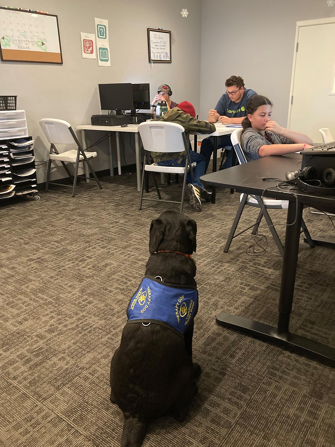 Photo courtesy Taryn Hecker
Wired2Learn Academy’s therapy dog, Sadie Bean, watches over students Antonio LoBue, Ethan Hime and Aliana LoBue in the school’s Cognitive Classroom.