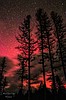 A view of the Aurora over Swan Lake