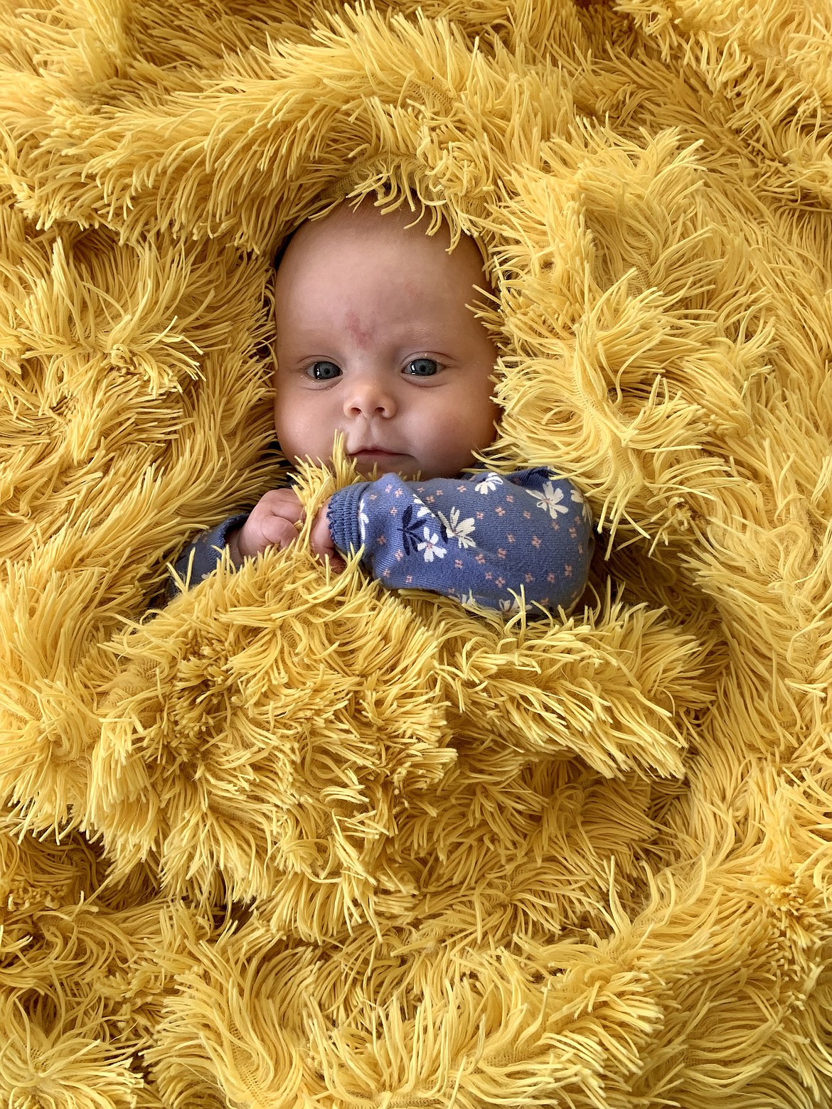 Jerry and Pat Lewis shared this Best Shot of their new great-granddaughter and favorite "Easter Chick." If you have a photo that you took that you would like to see run as a Best Shot or I Took The Bee send it in to the Bonner County Daily Bee, P.O. Box 159, Sandpoint, Idaho, 83864; or drop them off at 310 Church St., Sandpoint. You may also email your pictures in to the Bonner County Daily Bee along with your name, caption information, hometown and phone number to bcdailybee@bonnercountydailybee.com.