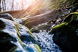 Bio station tracks river health in real time