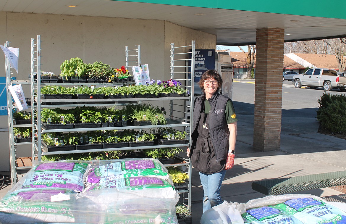 Jenny Harwood, gardening associate at Quincy Hardware and Lumber, poses with a rack of plant starts, including the ones best suited to this time of year. Choosing the right plants and spacing seedlings out properly can help improve their yield.