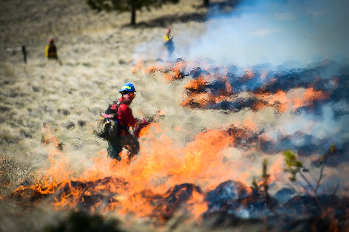 Lucas Kopitzke, with the Montana DNRC, uses a drip torch to ignite bunch grass during a prescribed burn at Lone Pine State Park in Kalispell on Thursday, April 7. Held in conjunction with Montana Fish, Wildlife & Parks, the prescribed fire is aimed at benefiting the park's grassland habitat, including native plants and the wildlife species that frequent the area.(Casey Kreider/Daily Inter Lake)