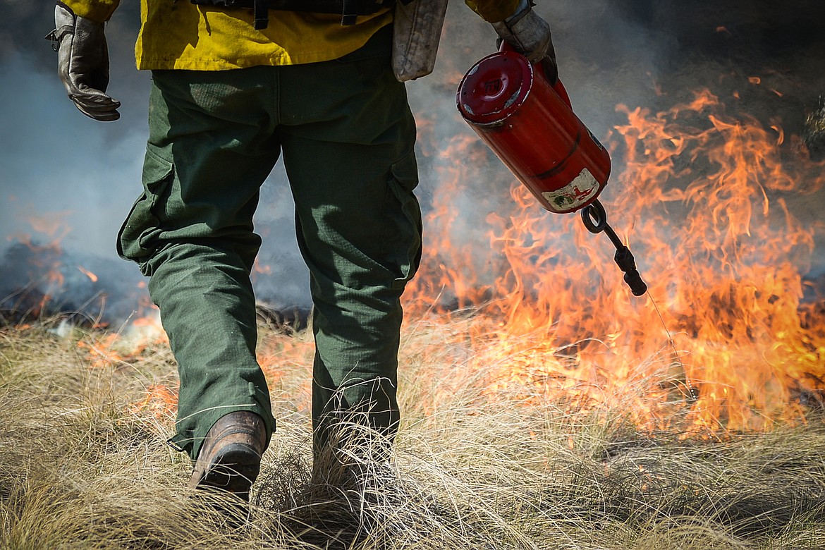 Nick Aschenwald, with the Montana DNRC, uses a drip torch to ignite bunch grass during a prescribed burn at Lone Pine State Park in Kalispell on Thursday, April 7, 2022. Held in conjunction with Montana Fish, Wildlife & Parks, the prescribed fire is aimed at benefiting the park's grassland habitat, including native plants and the wildlife species that frequent the area.(Casey Kreider/Daily Inter Lake)