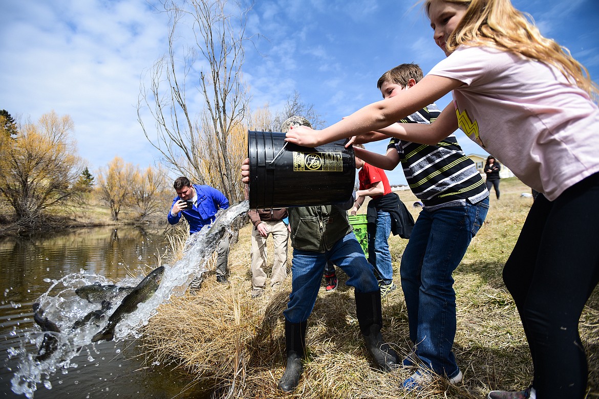 Fourth-graders from Hedges Elementary School pour buckets full of rainbow trout into the slough at Dry Bridge Park in Kalispell on Thursday, April 7. (Casey Kreider/Daily Inter Lake)