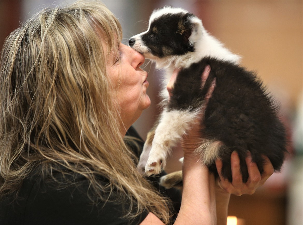 Theresa Upton gets up close with Bumper, a toy Australian shepherd at Double J Dog Ranch.