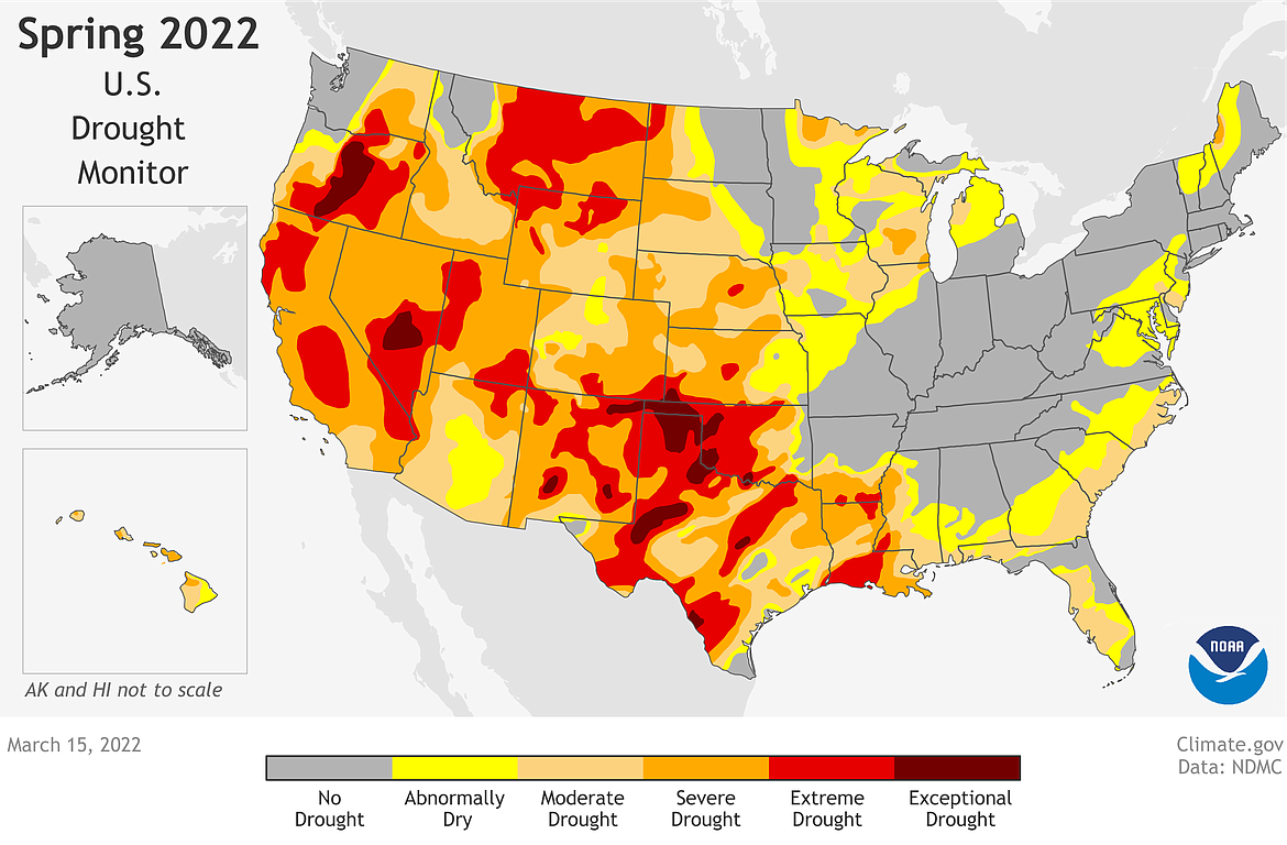 Temperature and precipitation forecasts from NOAA’s Spring Outlook, published in mid-March indicate that the Columbia Basin will face moderate to severe drought this spring.